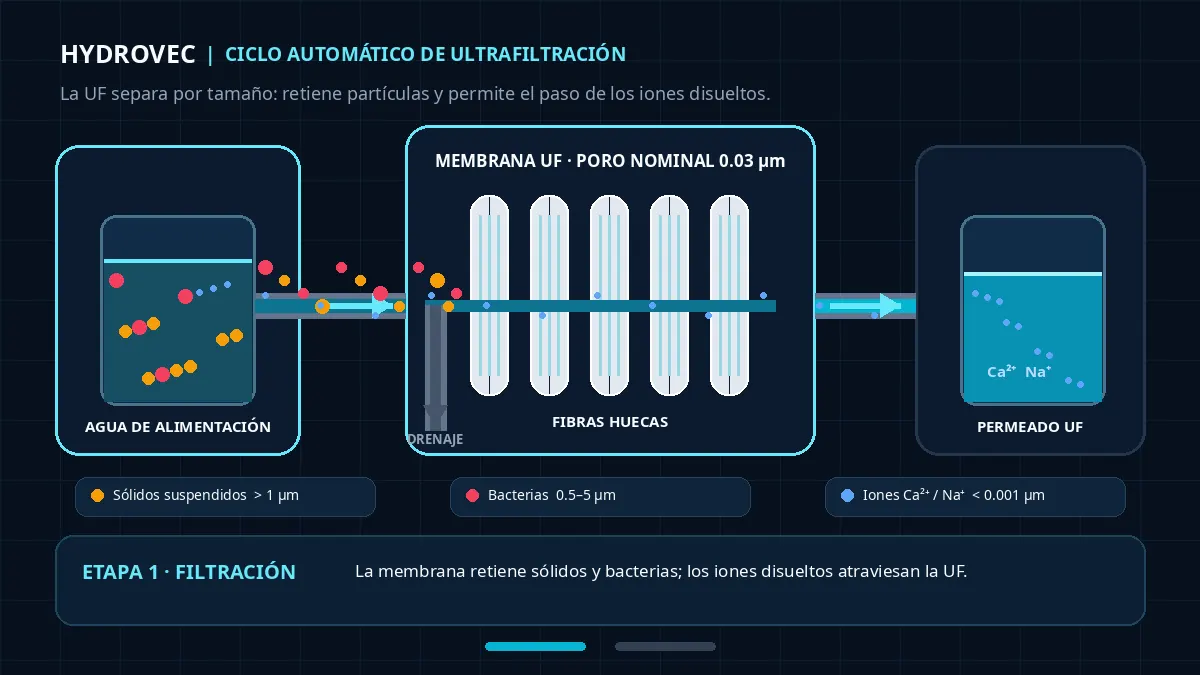 Animación del ciclo de ultrafiltración: etapa de filtración y etapa de retrolavado de la membrana UF